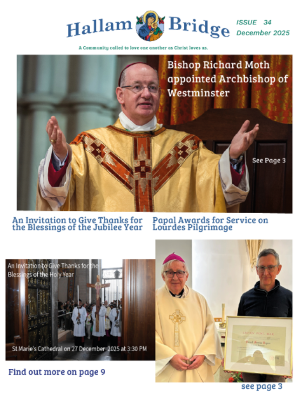 Hallam Bridge – December 2025 – #034